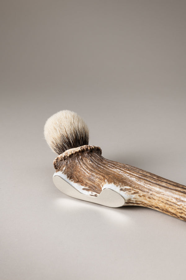 Pennello esposizione in Cervo (palco) - Stag antler Display brush