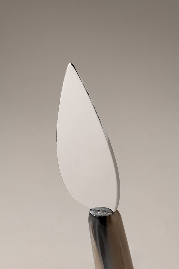 Coltello grana grande in Zebu - Zebu Large parmesan knife