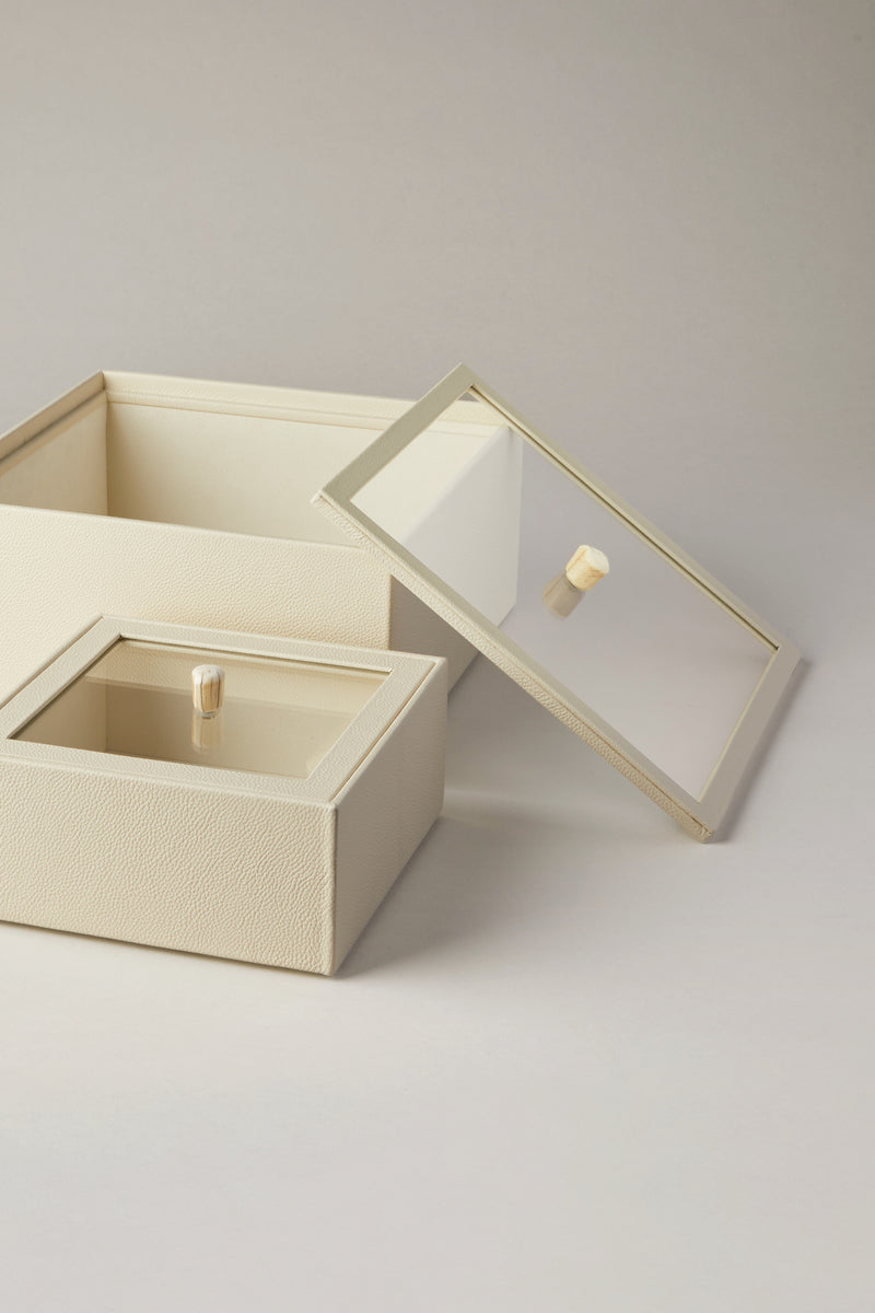 Scatola quadrata con coperchio in vetro - facocero - Rectangular box with glass lid in warthog