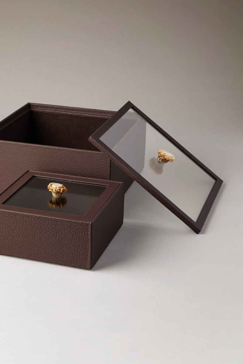 Scatola quadrata con coperchio in vetro - capriolo - Rectangular box with glass lid in roe deer