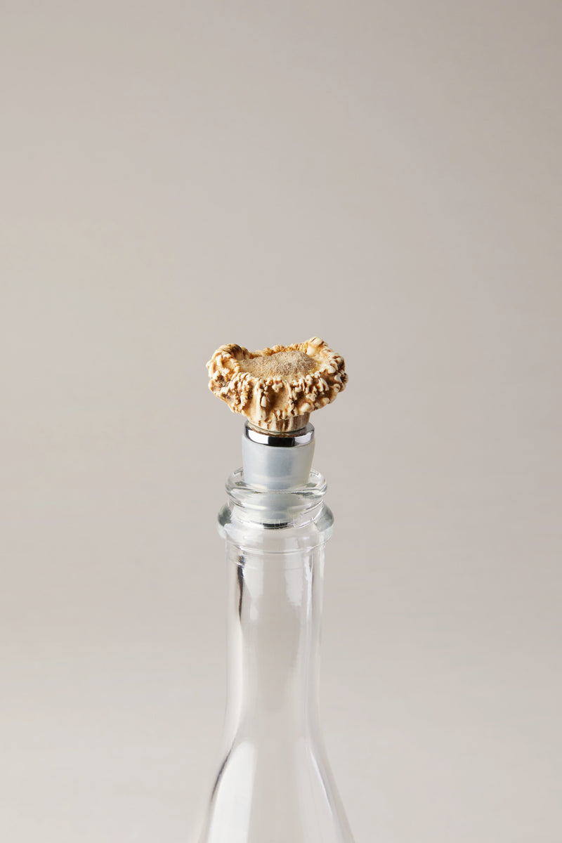 Roe deer antler conical bottle cap