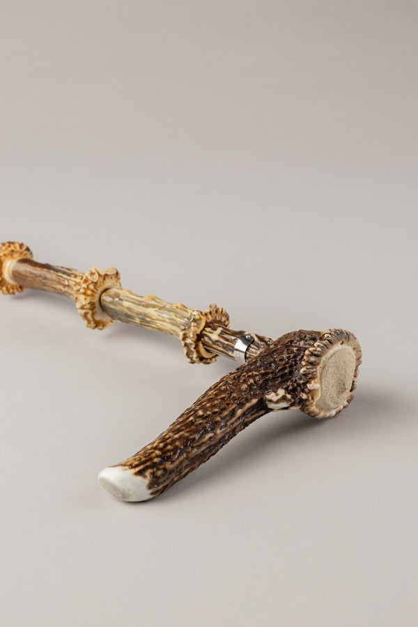 Roe deer Walking stick