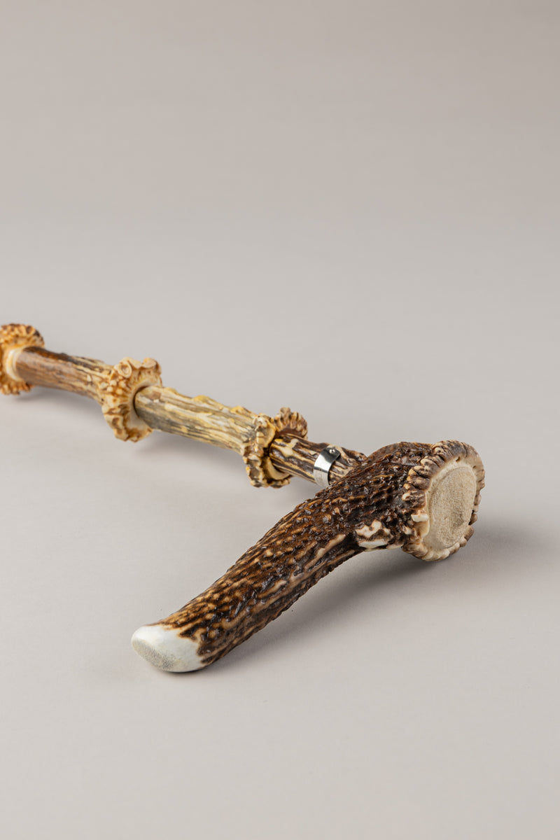 Roe deer Walking stick