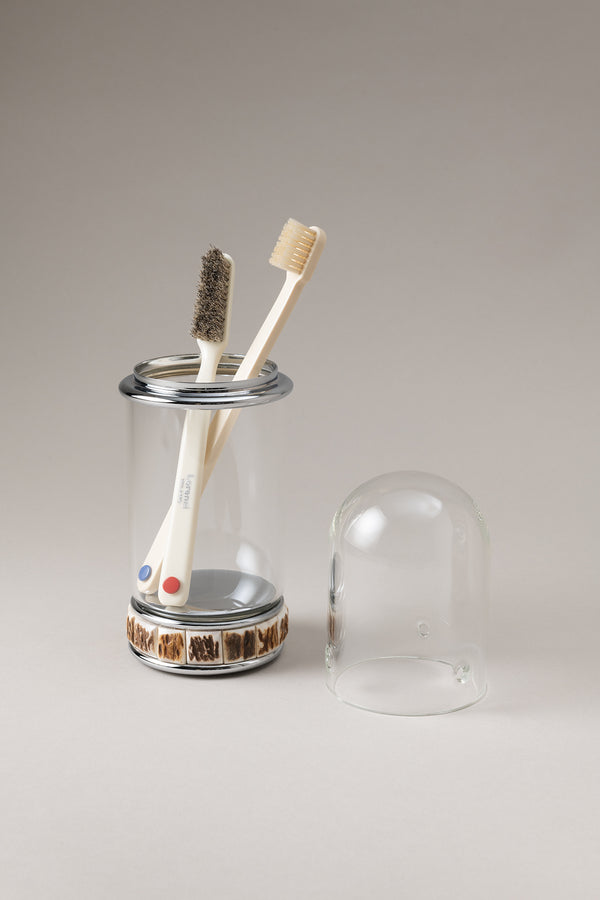 Stag antler Glass toothbrush pot with glass dome
