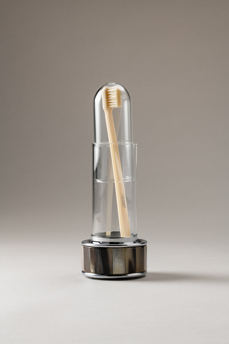 Zebu Individual toothbrush holder