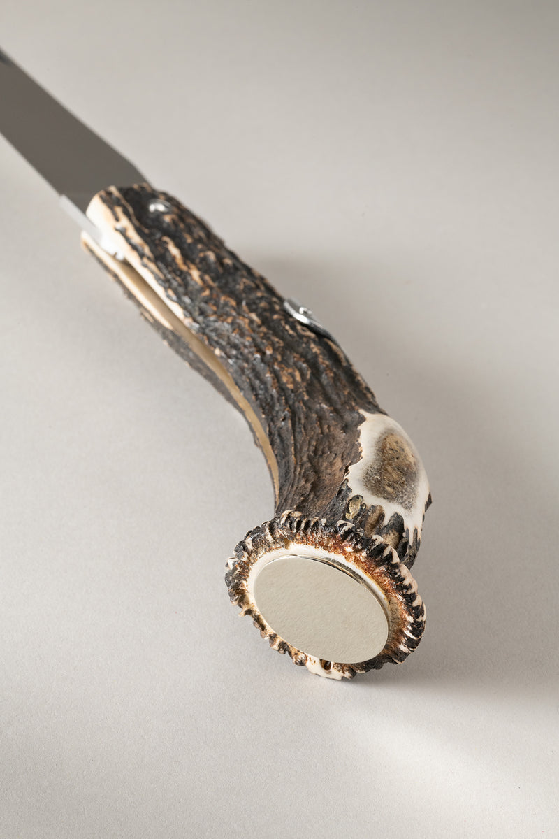 Coltello corona in Cervo (palco) - Stag antler Stag antler knife